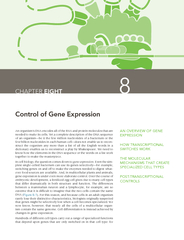 Control of Gene ExpressionMECHANISMS THAT CREATE POST-TRANSCRIPTIONAL