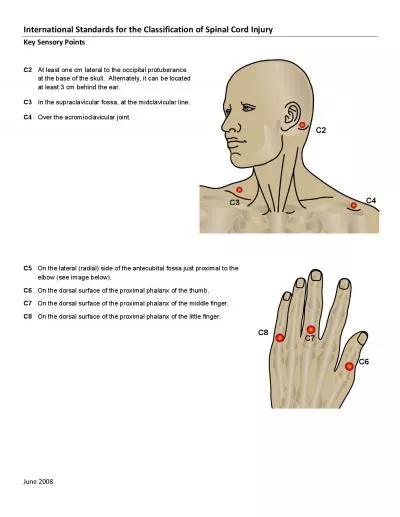 International Standards for the Classification of Spinal Cord Injury