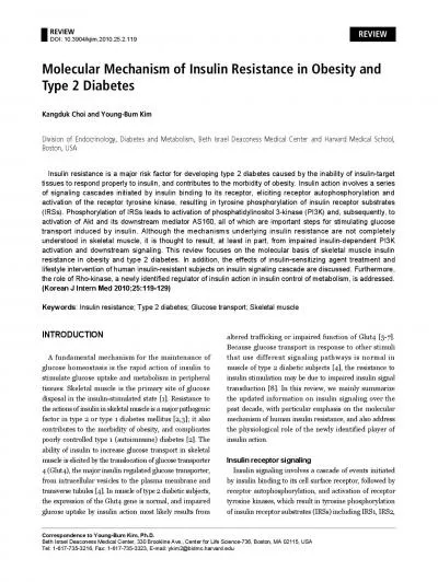 Type 2 Diabetes