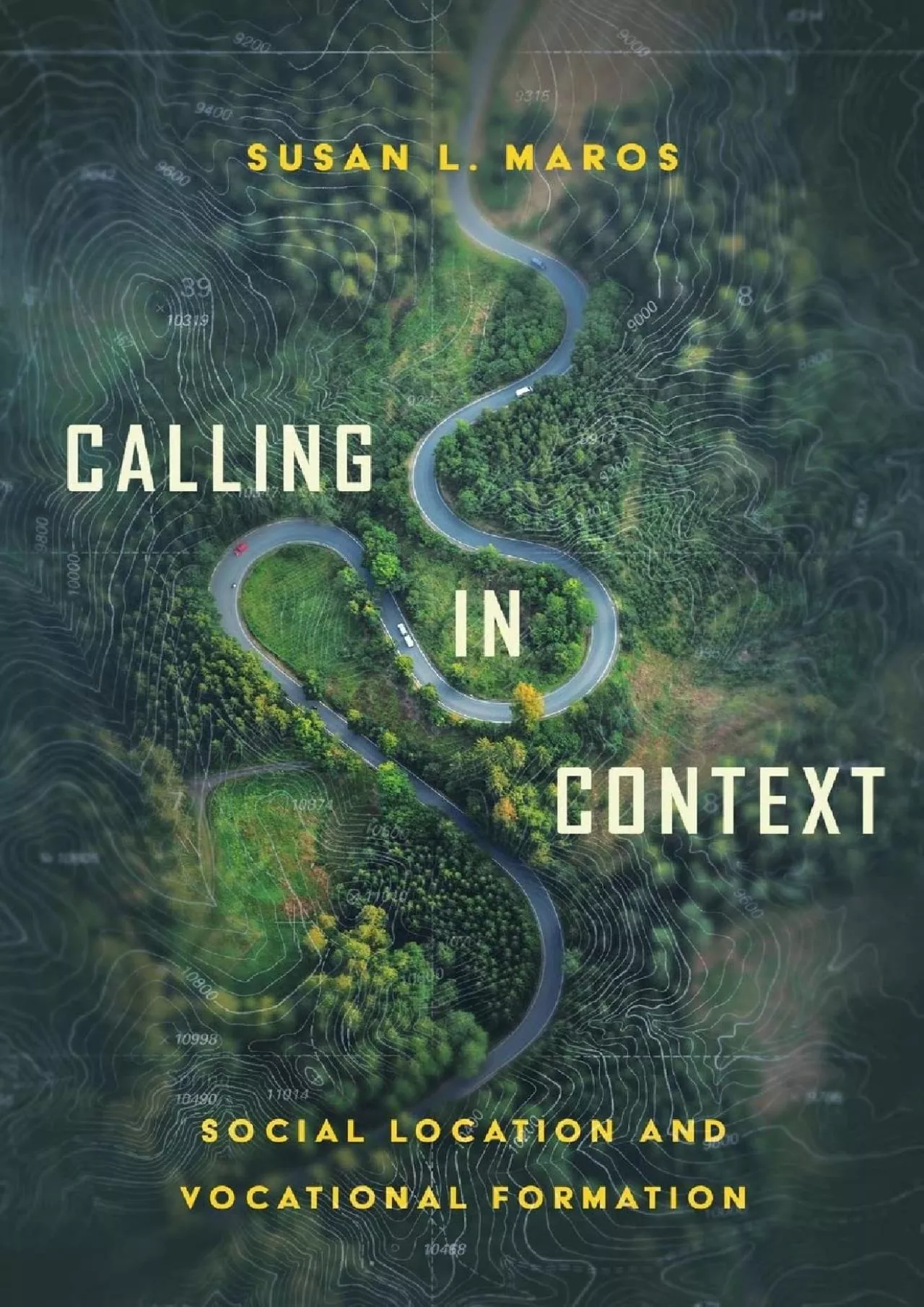 PDF-(BOOK)-Calling in Context: Social Location and Vocational Formation