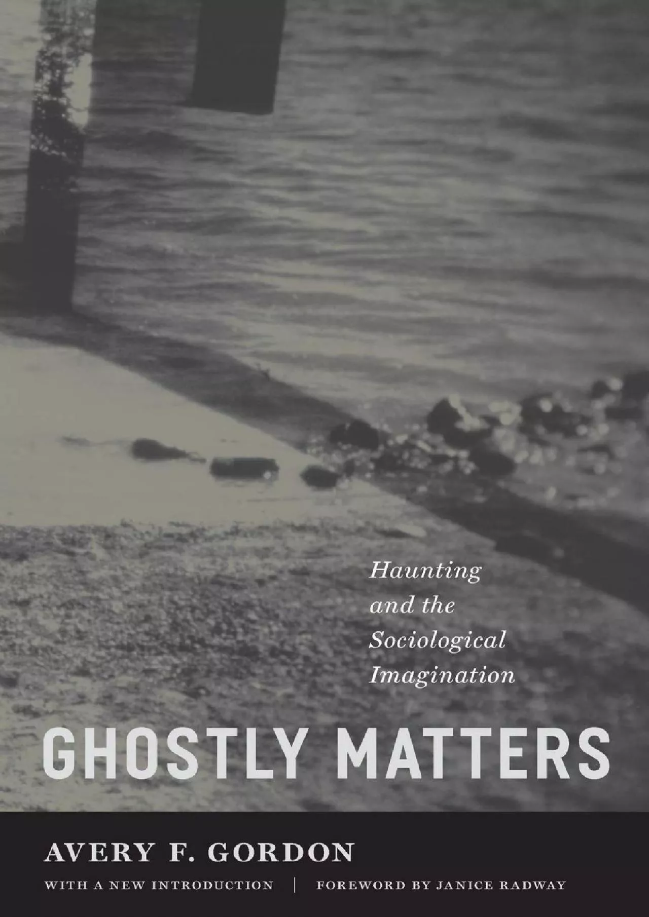 PDF-(DOWNLOAD)-Ghostly Matters: Haunting and the Sociological Imagination