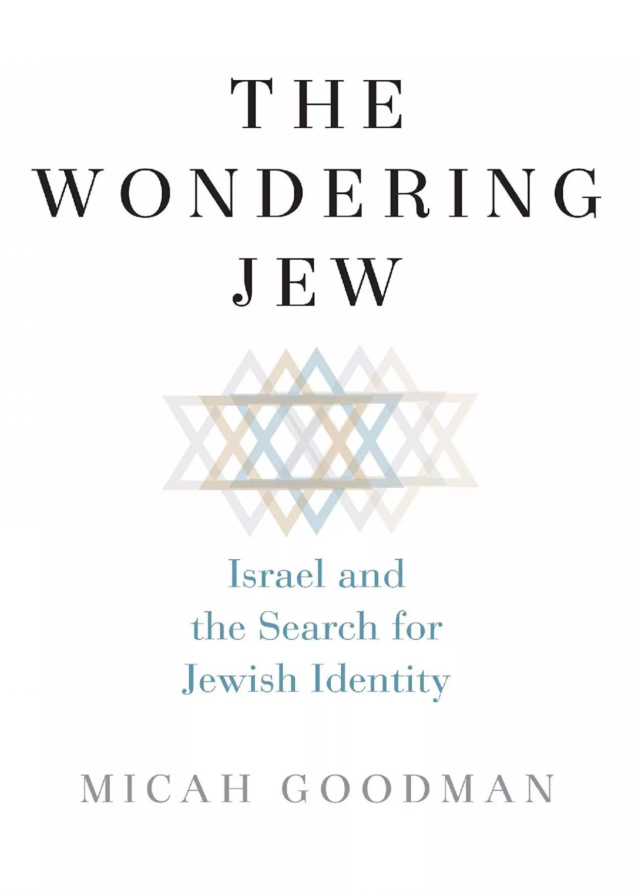 PDF-(EBOOK)-The Wondering Jew: Israel and the Search for Jewish Identity