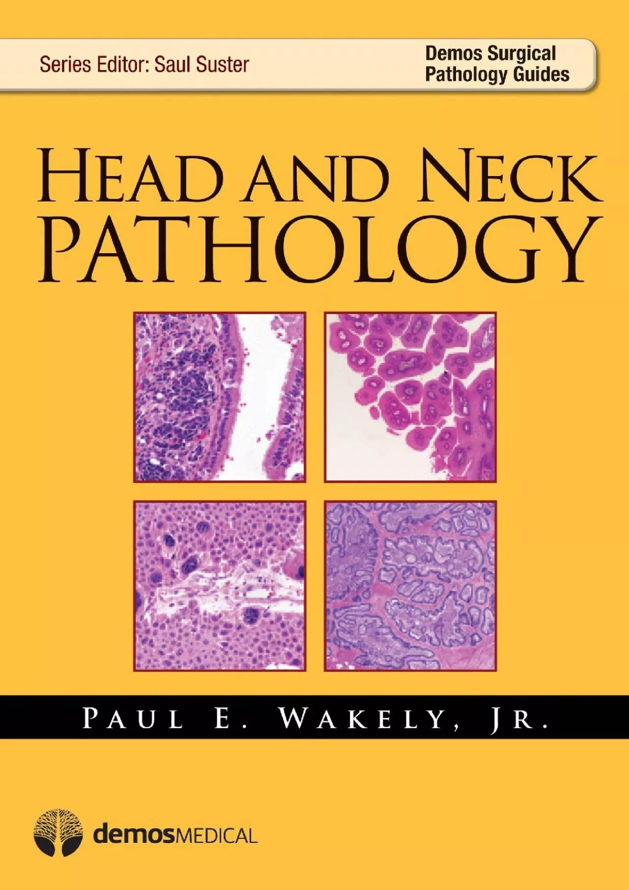 PDF-(EBOOK)-Head and Neck Pathology (Demos Surgical Pathology Guides)