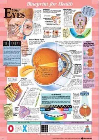 (READ)-Blueprint for Health Your Eyes Chart