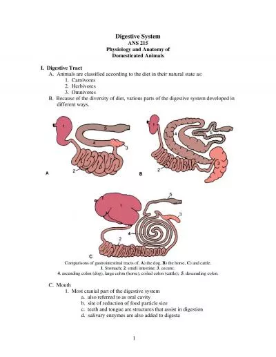 Digestive SystemANS 215Physiology and Anatomy ofDomesticated AnimalsI