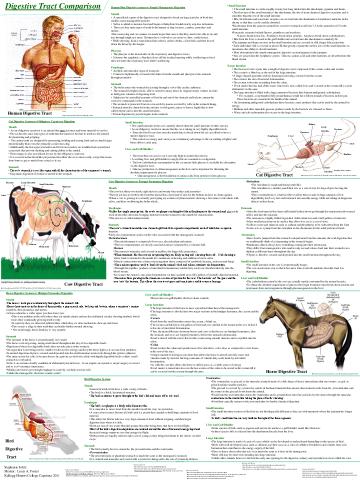 PDF-httpwwwyeskocommedical_illustrationsstock