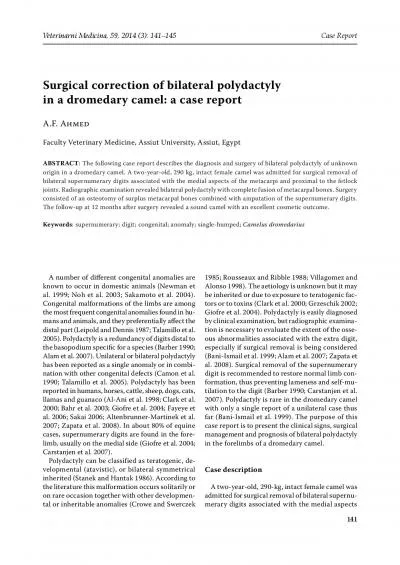 Surgical correction of bilateral polydactyly in a dromedary camel a c