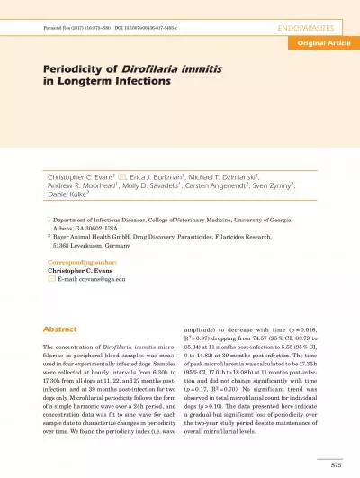 Periodicity of Dirofilaria immitisin Longterm Infections