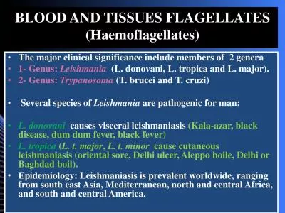BLOOD AND TISSUES FLAGELLATES