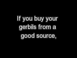 If you buy your gerbils from a good source,