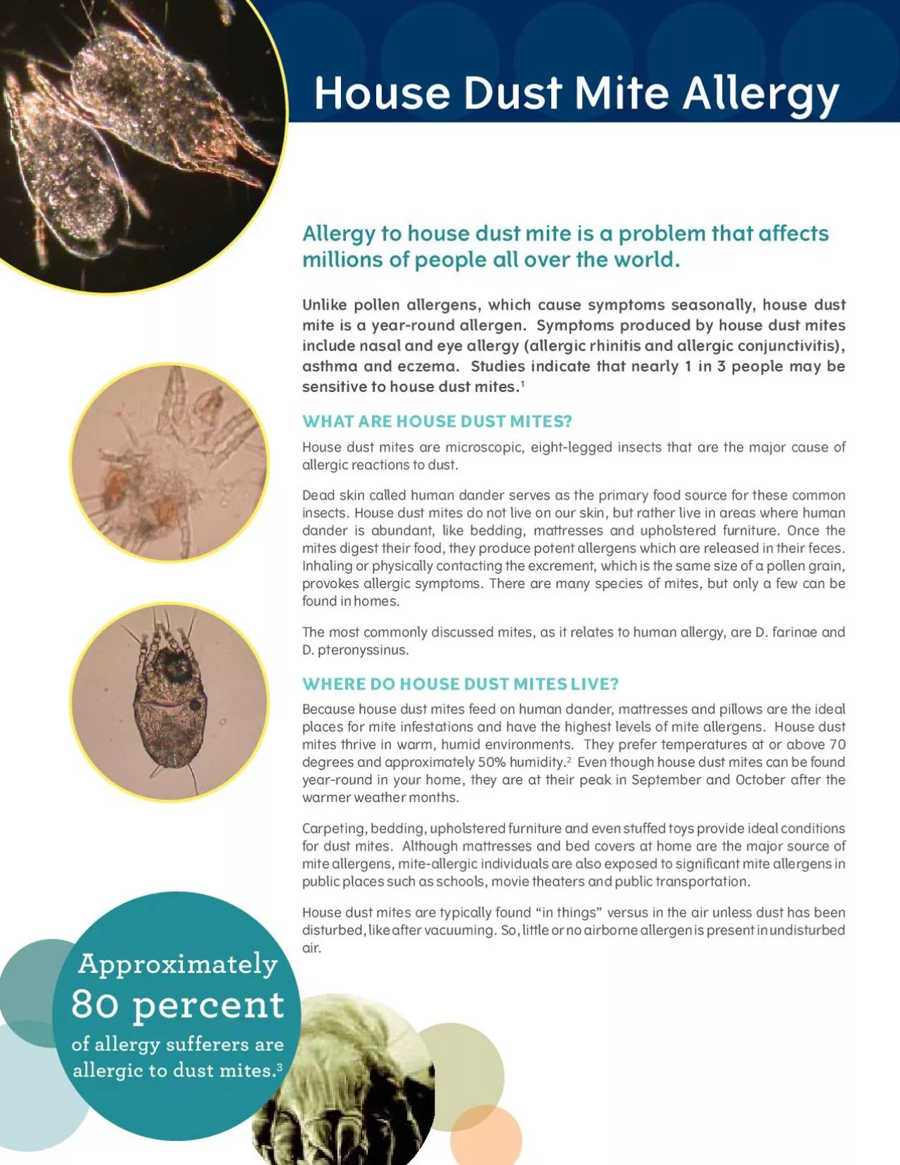 Allergy to house dust mite is a problem that affects millions of peopl