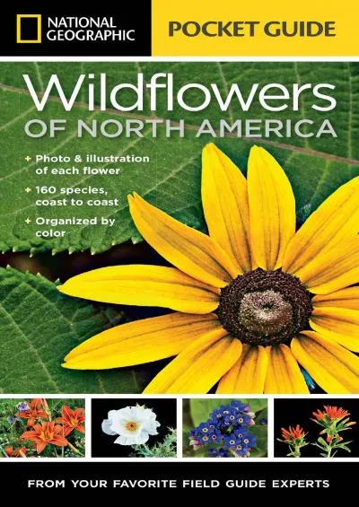 (BOOS)-National Geographic Pocket Guide to Wildflowers of North America
