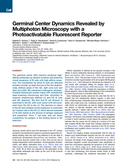 GerminalCenterDynamicsRevealedbyMultiphotonMicroscopywithaPhotoactivat