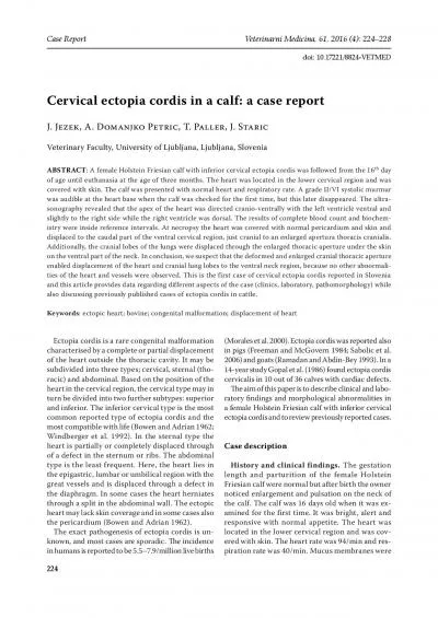 topa cordis cervicalis because no other abnormalities of the heart an