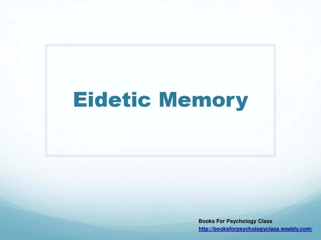 PDF-Eidetic Memory