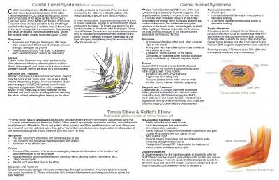 arpal Tunnel Syndrome common problems seen by hand surgeons The   com