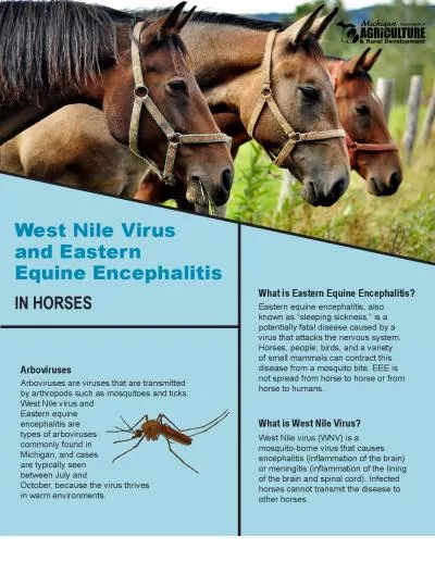 West Nile Virus