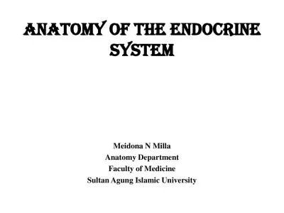 Anatomy of the Endocrine