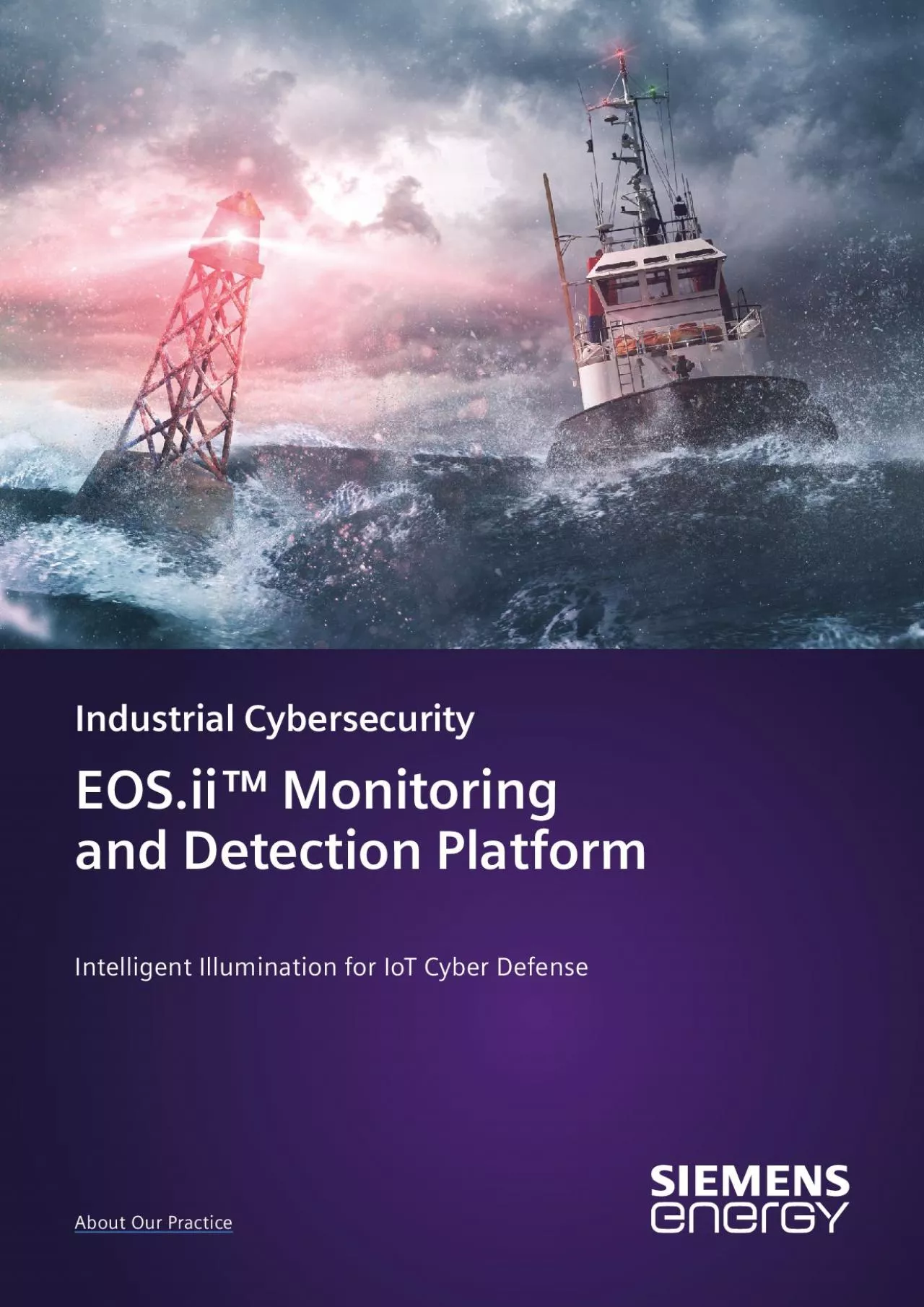 PDF-Intelligent Illumination for IoT Cyber Defense