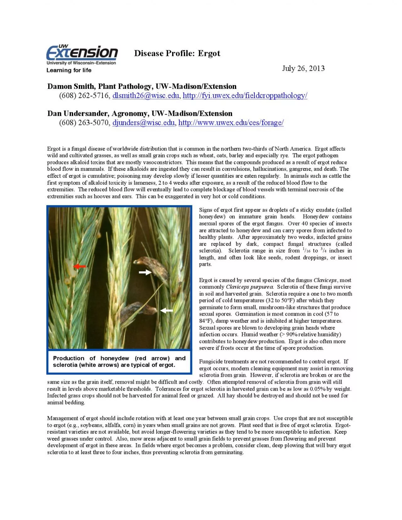 PDF-toxicity is lameness 2 to 4 weeks after exposure as a result of the