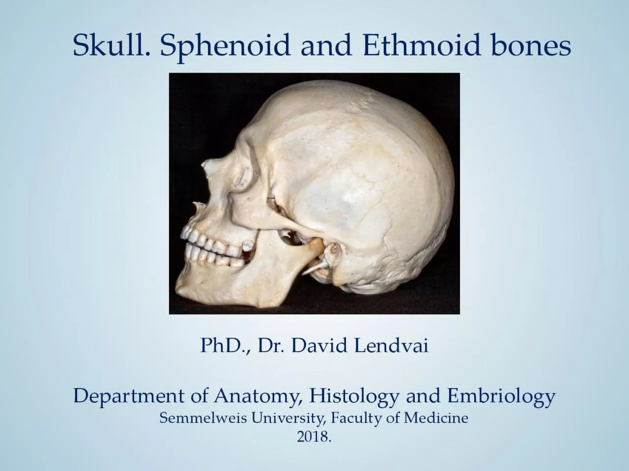 PDF-PhD Dr David Lendvai