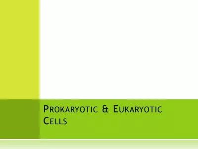 ROKARYOTIC