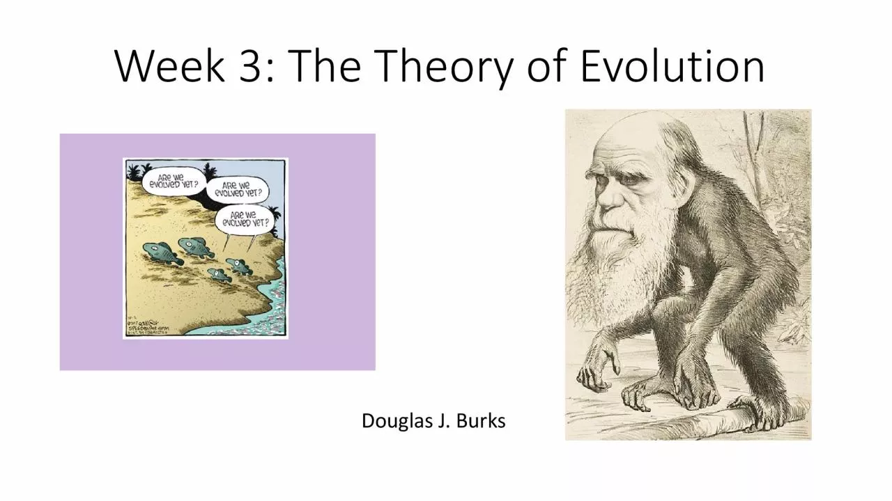 Week 3 The Theory of EvolutionDouglas J Burks