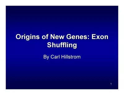 Origins of New Genes