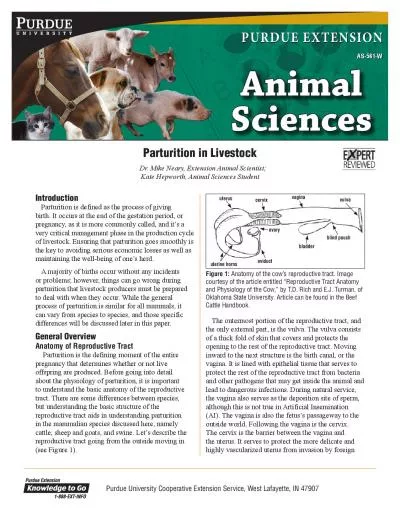 Parturition in Livestock