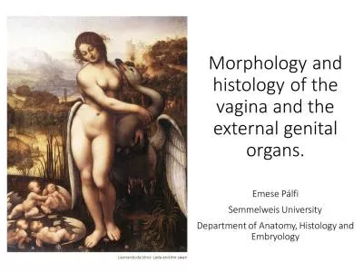 Morphology