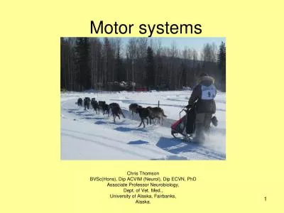 Motor systems