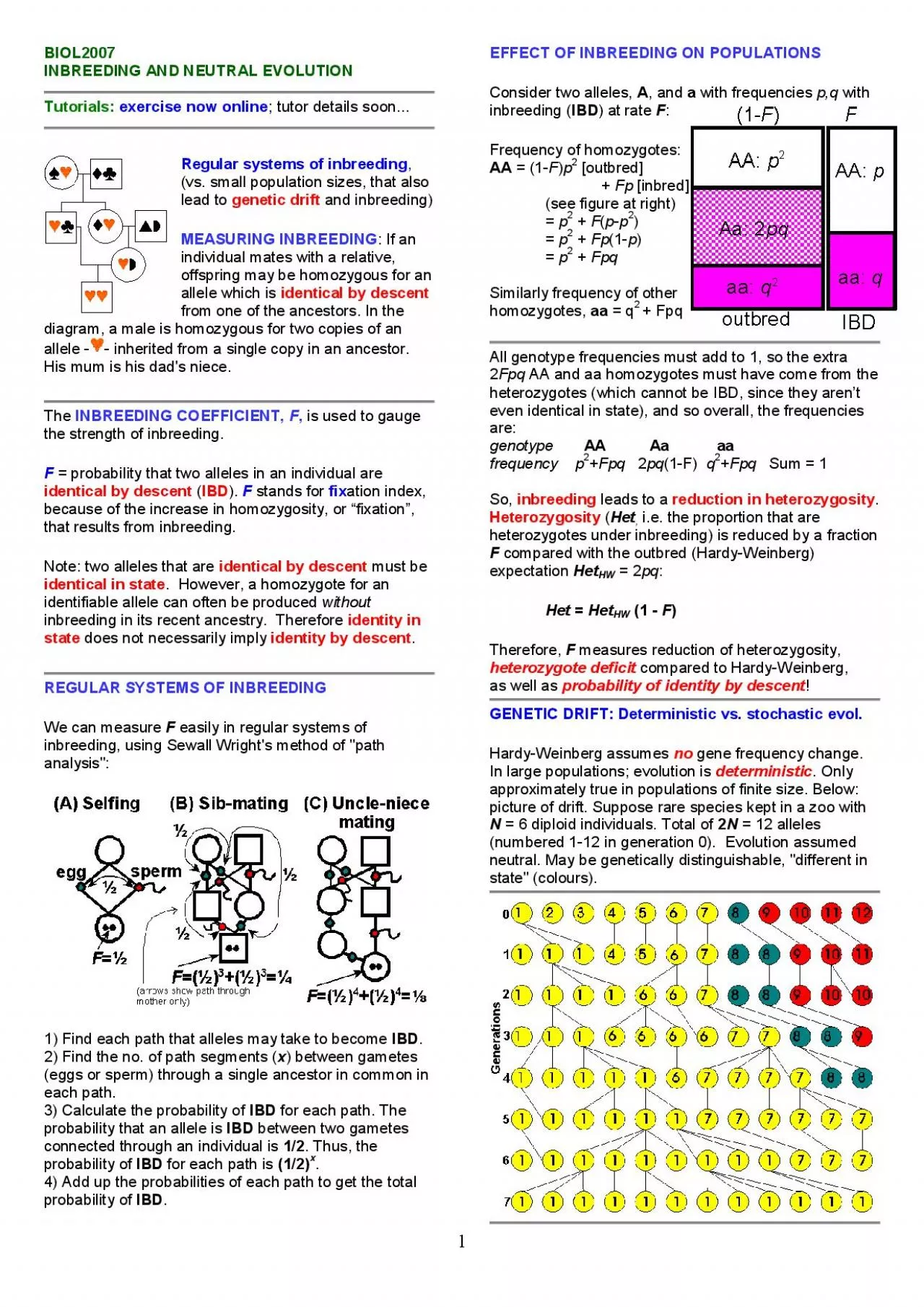 PDF-BIOLB2007 INBREEDING AND NEUTRAL EVOLUTION