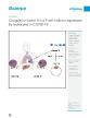 CoagulationfactorVisaTcellinhibitorexpressedbyleukocytesinCOVID19