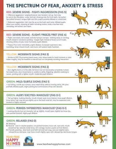 THE SPECTRUM OF FEAR ANXIETY  STRESS