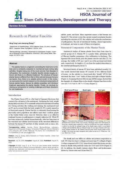 IntroductionThe Plantar Fascia PF is a x0066006Cat band of ligame