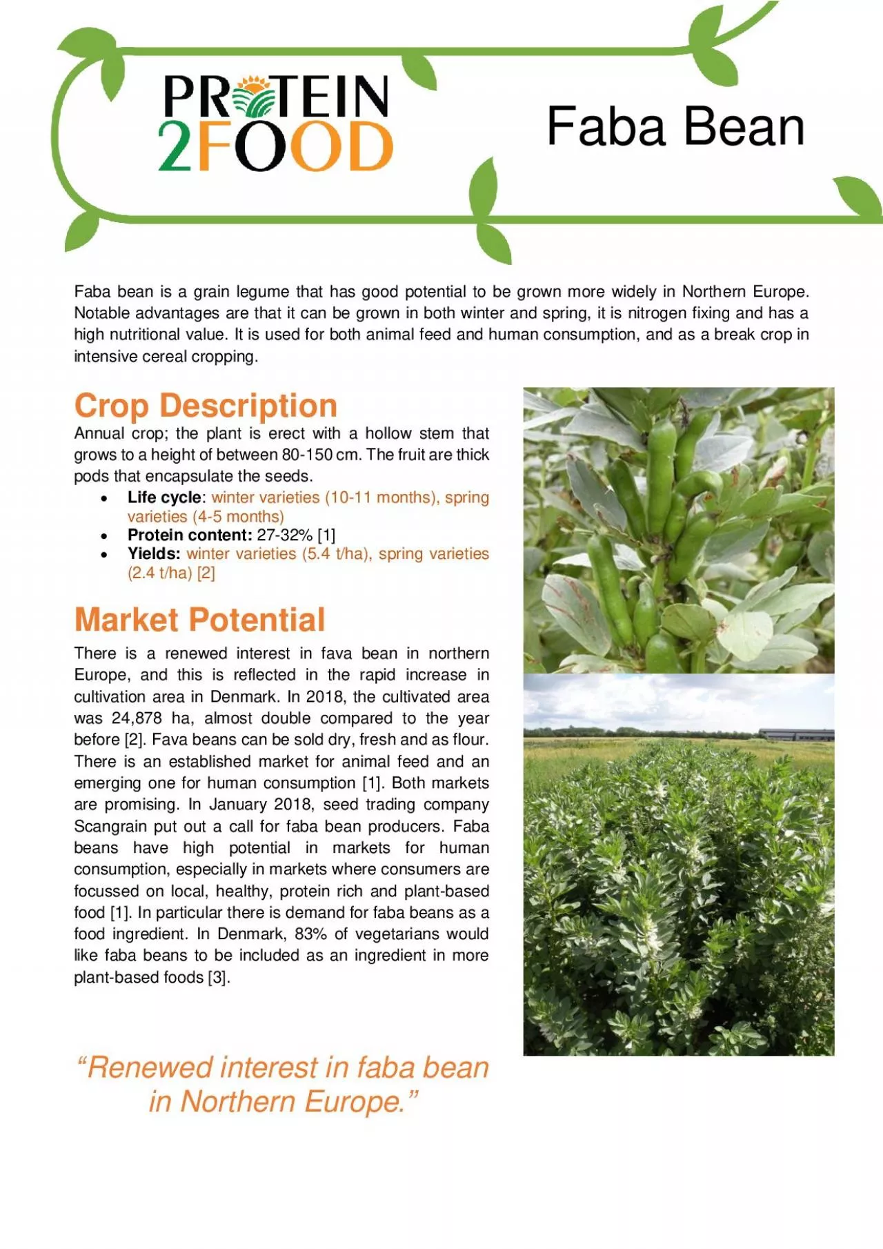 PDF-a bean is a grain legume that has good potential to be grown more wide