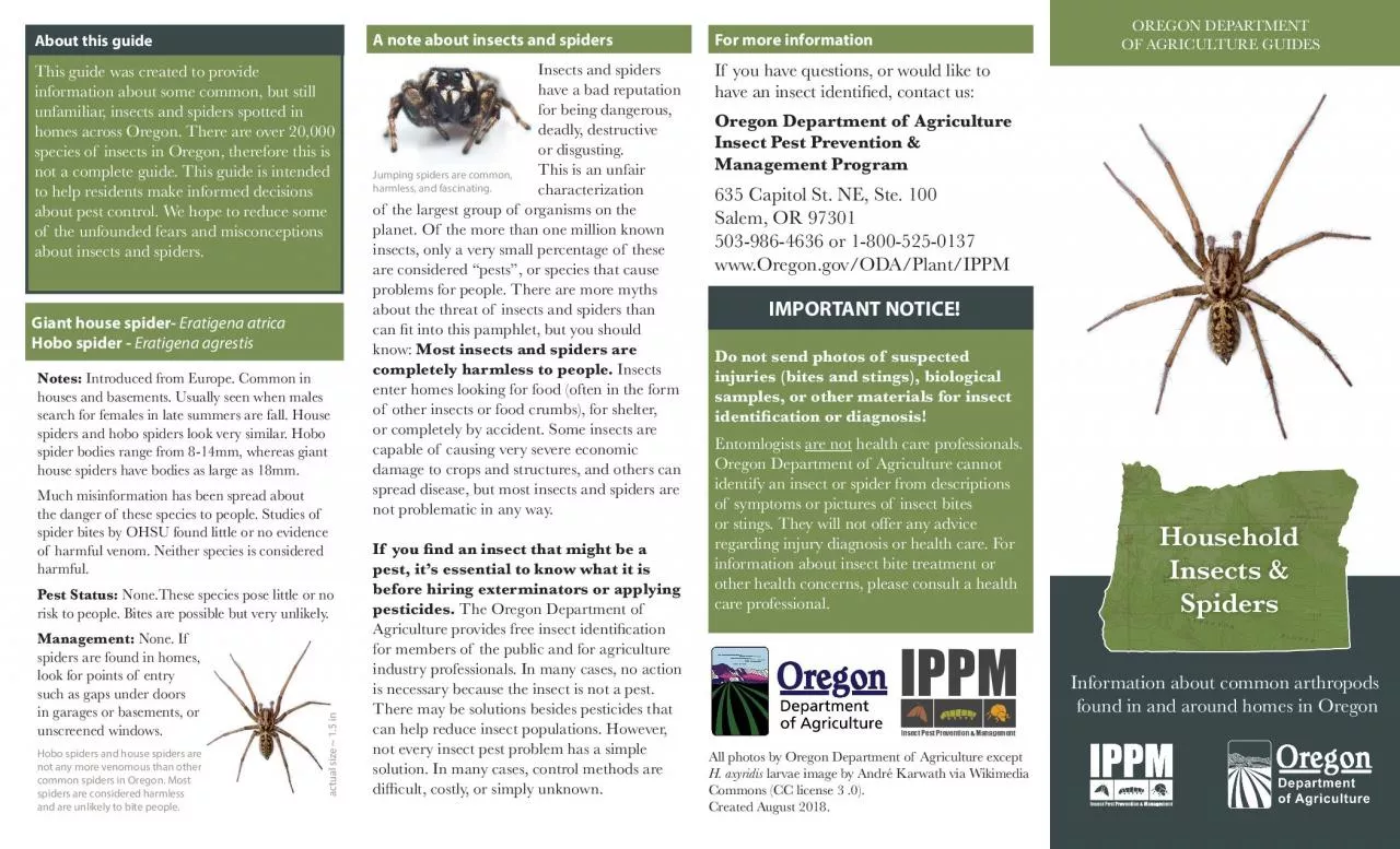 PDF-Information about common arthropods