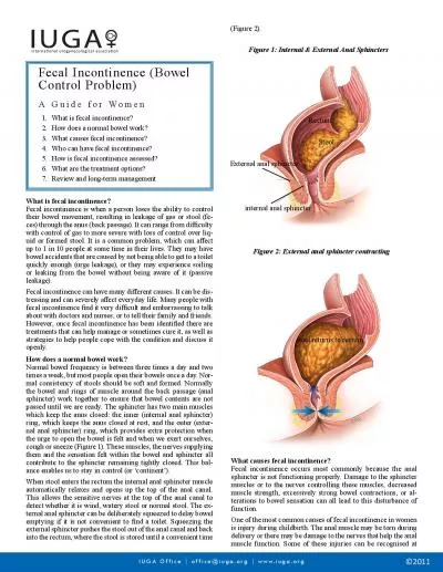 Fecal Incontinence Bowel Control ProblemA Guide for WomenWhat is fec