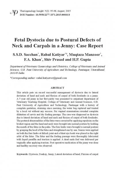 Fetal Dystocia due to Postural Defects of Neck and Carpals in a Jenny