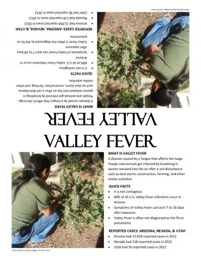 VALLEY FEVER