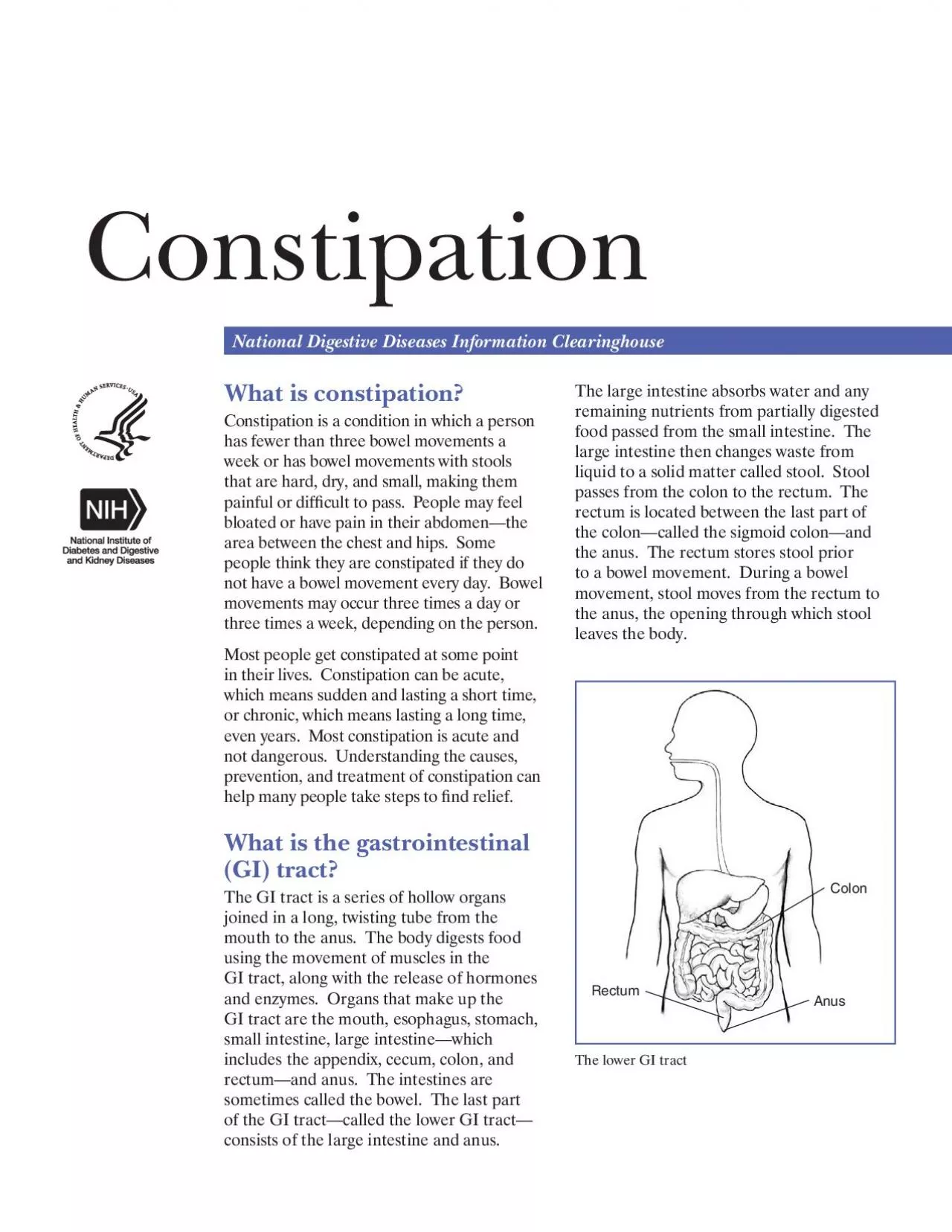 PDF-The lower GI tract