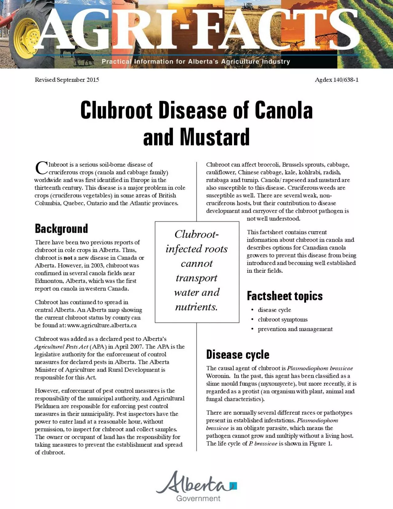 PDF-Clubrootinfected roots cannot transport water and nutrients