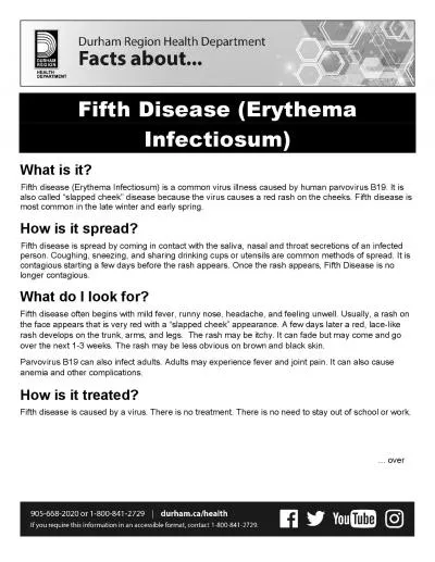 Fifth Disease Erythema Infectiosum
