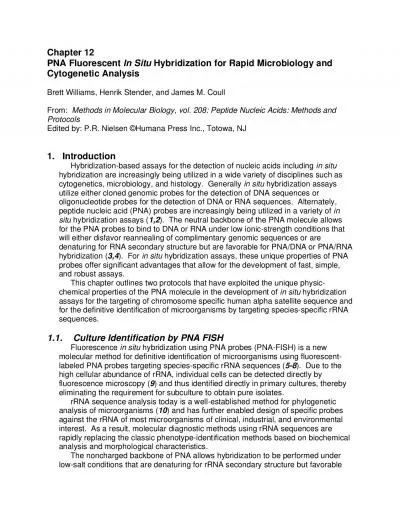 PNA Fluorescent