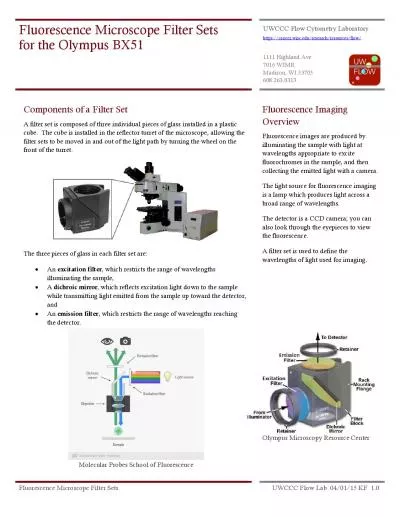 Fluorescence Microscope Filter Setsfor the Olympus BX51