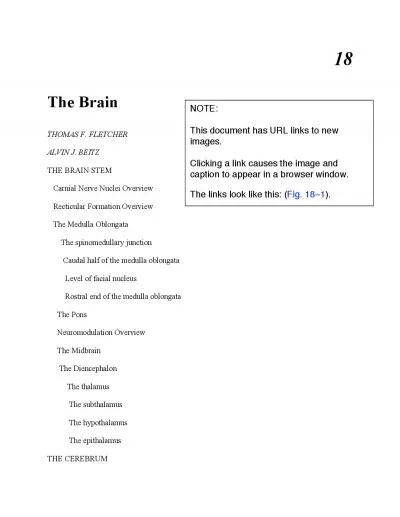 Cerebral Hemisphere