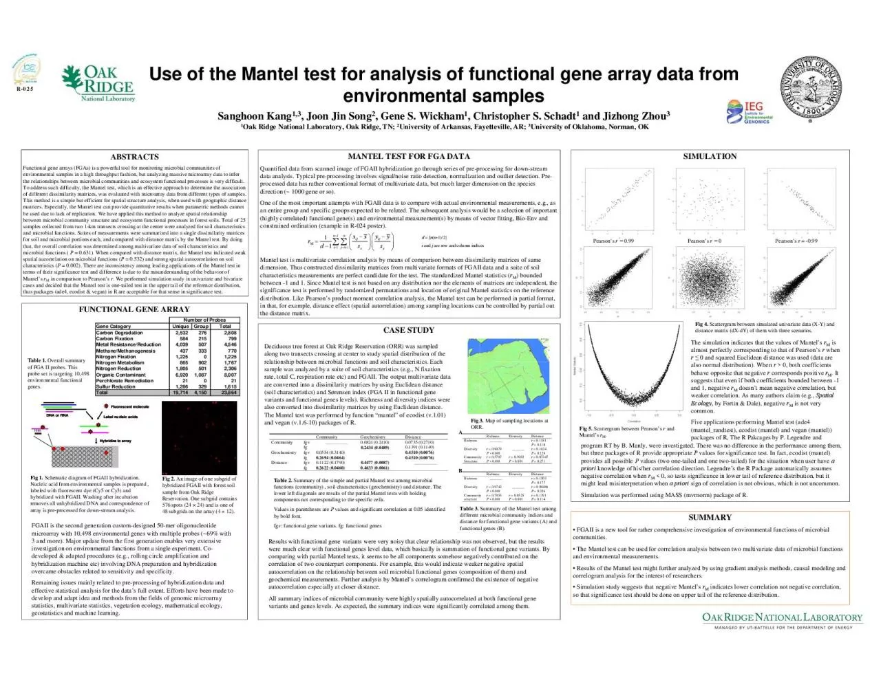 PDF-Label nucleic acids