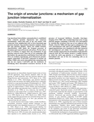 INTRODUCTIONGap junctions are intercellular channels found at sites of