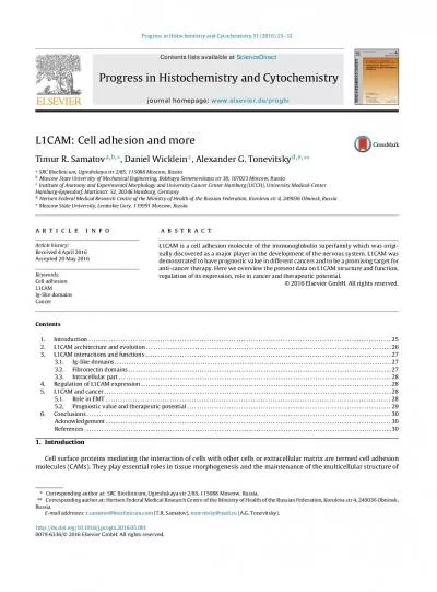 Progress in Histochemistry and Cytochemistry 51 2016 2532