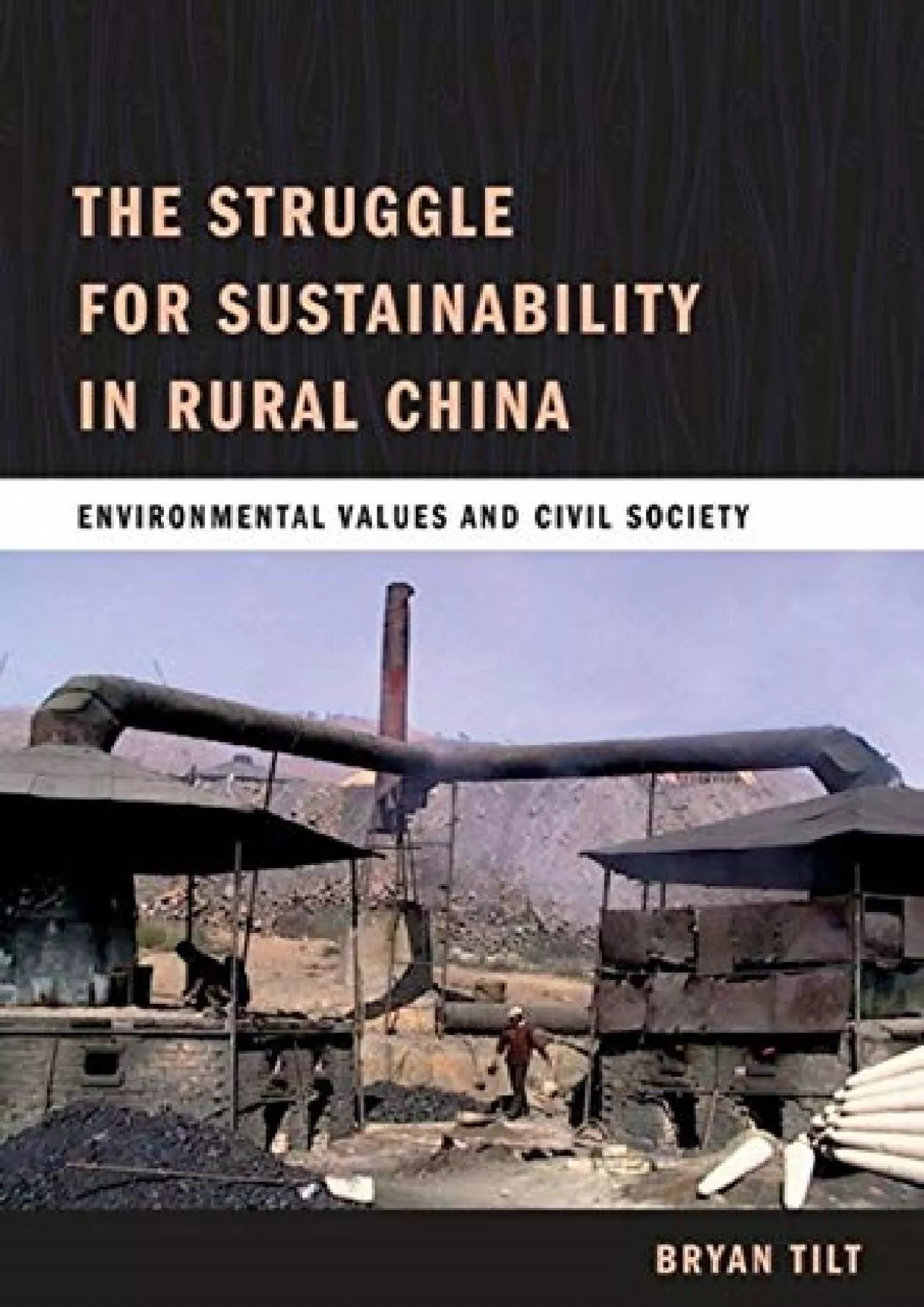 PDF-[READ]-The Struggle for Sustainability in Rural China: Environmental Values and Civil